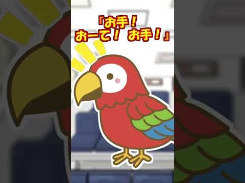 【2ch】動物病院でオウムが…【ほっこり】 #Shorts - YouTube