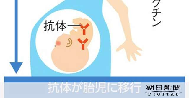 新生児用のRSウイルスワクチンを承認へ　妊婦に接種、肺炎を予防：朝日新聞デジタル