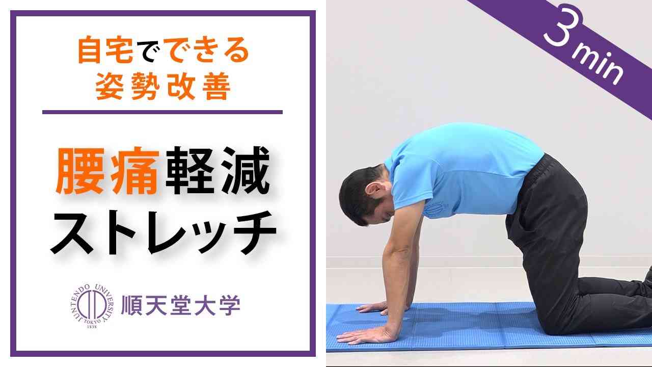 【腰痛軽減】2分間の腰伸ばしストレッチ（キャットアンドドッグ、姿勢改善） - YouTube