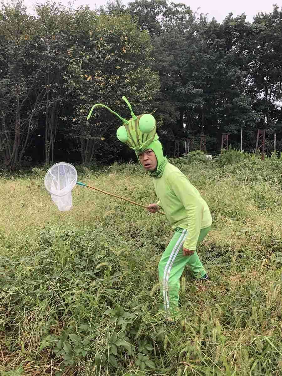 皆さんが好きな昆虫を教えてください!