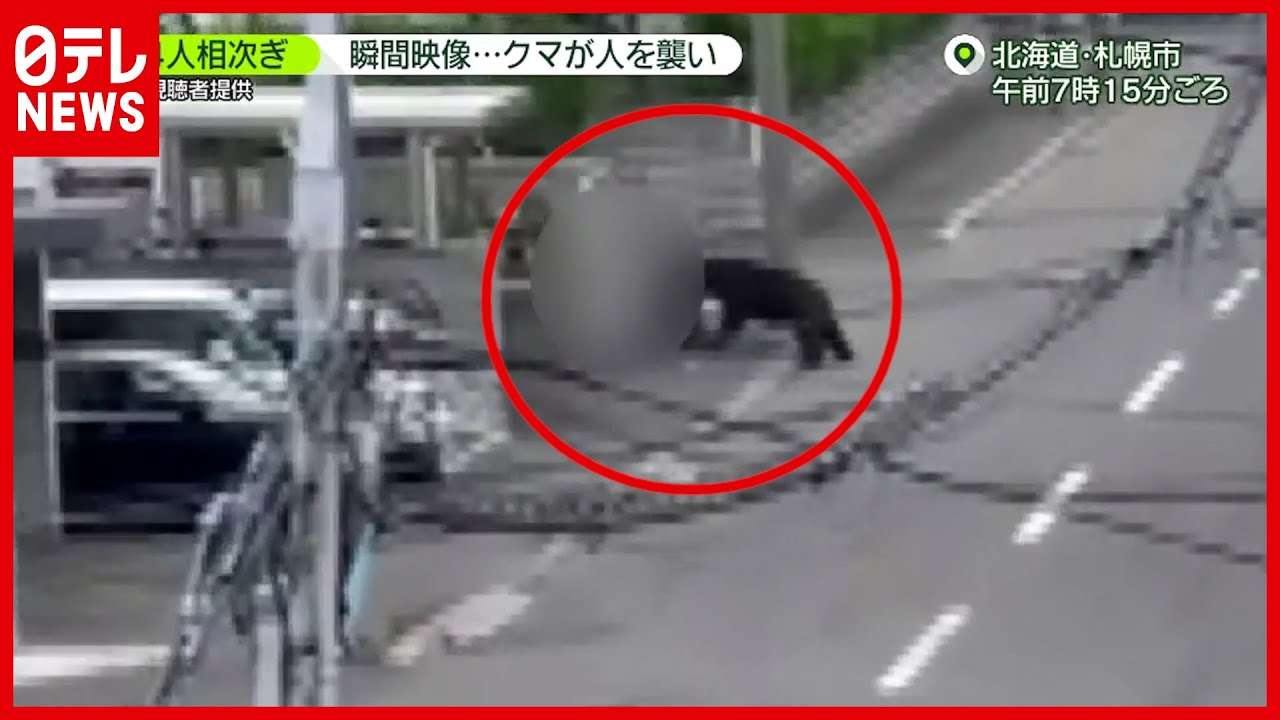 クマが背後から人襲う瞬間も…住宅街で４人ケガ　北海道・札幌（2021年6月18日放送「news zero」より） - YouTube