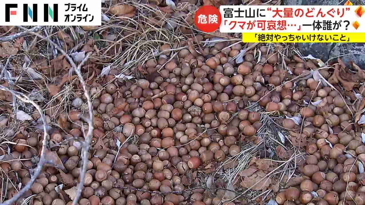 富士山に“大量のどんぐり” 「クマがかわいそう...」いったい誰が? 「絶対やっちゃいけないこと」 - YouTube