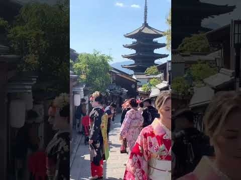 白人美女舞妓に振り返る外国人観光客＃京都＃外国人観光客＃清水寺 - YouTube