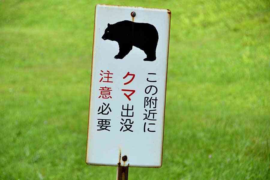 「クマこそ被害者」物議の保護団体を直撃　バッシング浴びた「どんぐりをまけばいい」発言の真意