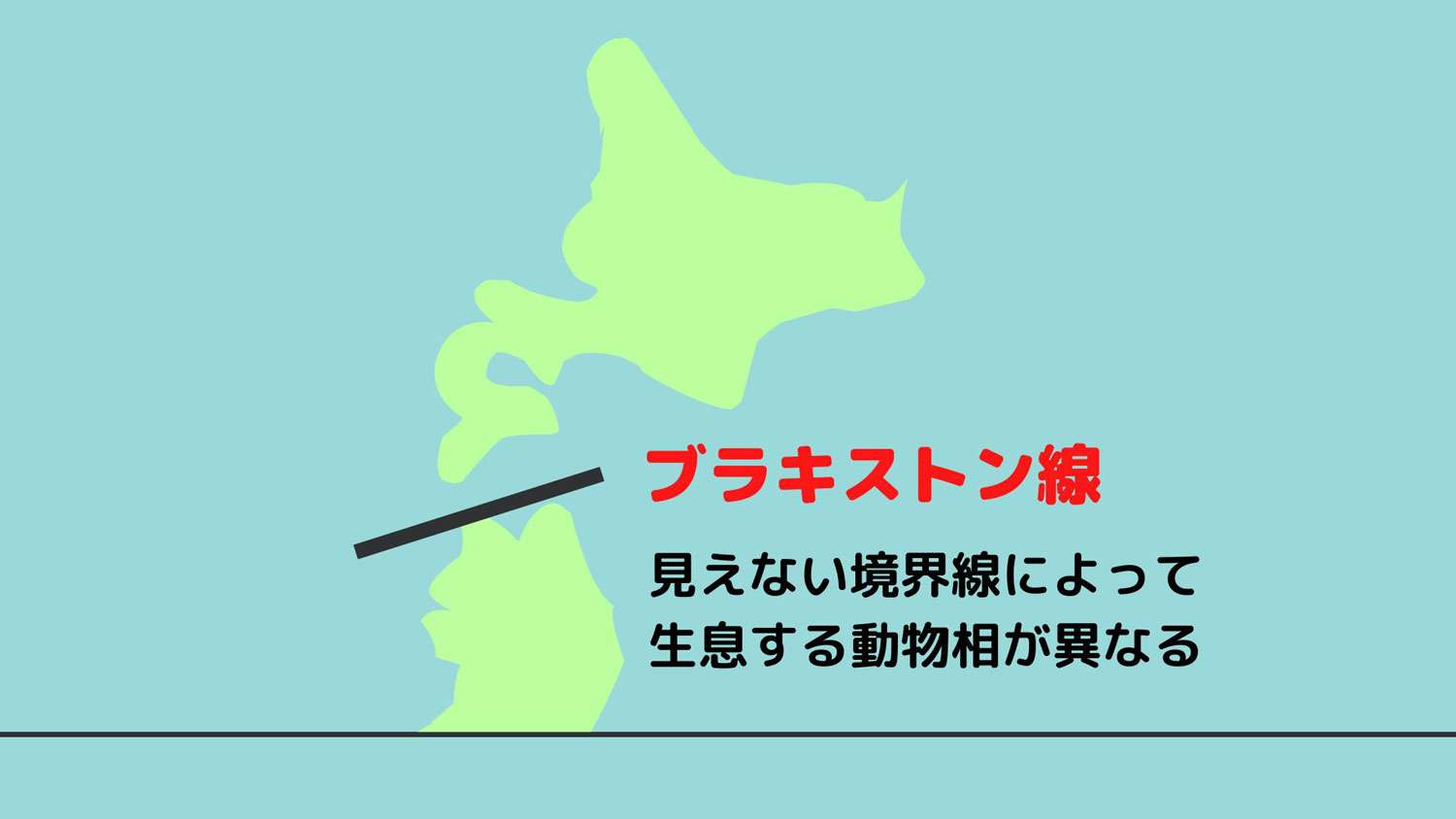 クマの九州上陸はあるのか　山口で生息域拡大　関門海峡泳げる?