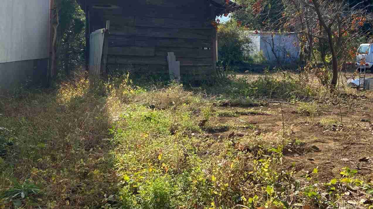 草刈り機の刃が84歳男性の首に直撃し死亡　知人男性が草刈り作業中　大分 | TBS NEWS DIG