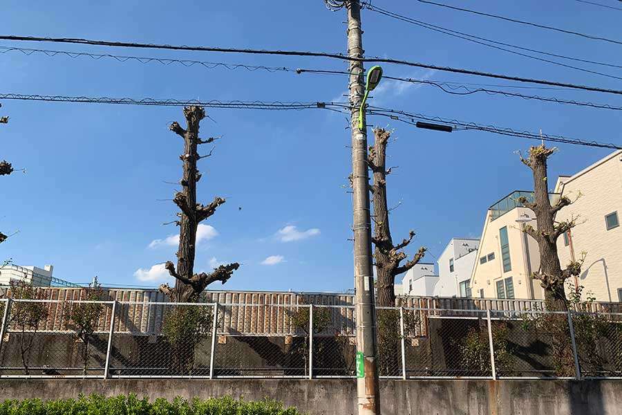【画像】「日本に来て初めて撮った写真」が意外すぎる! オーストラリア人エンジニアが目を奪われた 日本人には当たり前の風景とは