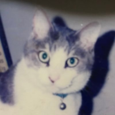 REI on Twitter: 