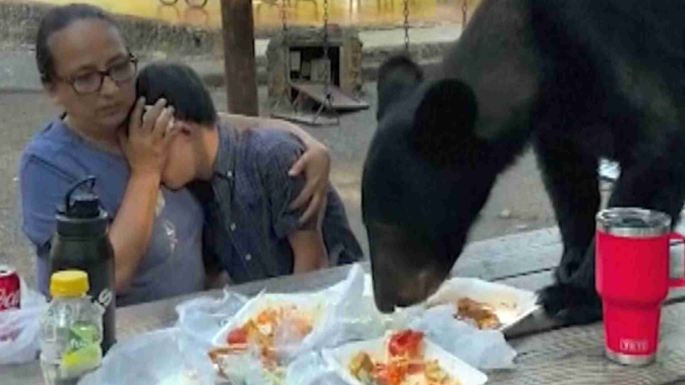 15歳の誕生祝いにクマと遭遇　危機に面したメキシコの母子（AP通信） - Yahoo!ニュース
