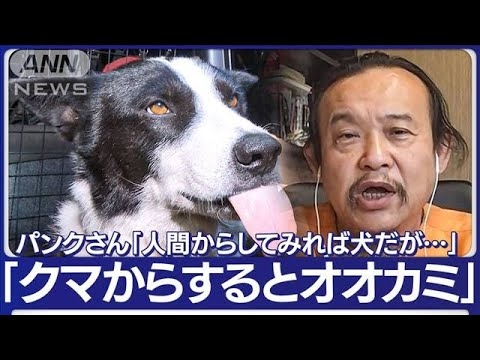 イノシシ用の罠にクマが！各地で出没　訓練された犬で「被害ゼロ」の町(2023年11月3日) - YouTube