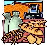 日本人の食生活を変えるアメリカの壮大な実験。 2007年3月1日記事