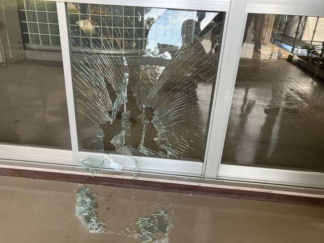仙台市若林区にイノシシ出没　高校の窓ガラス突き破る　けが人無し　通行人と衝突　車破損の通報も