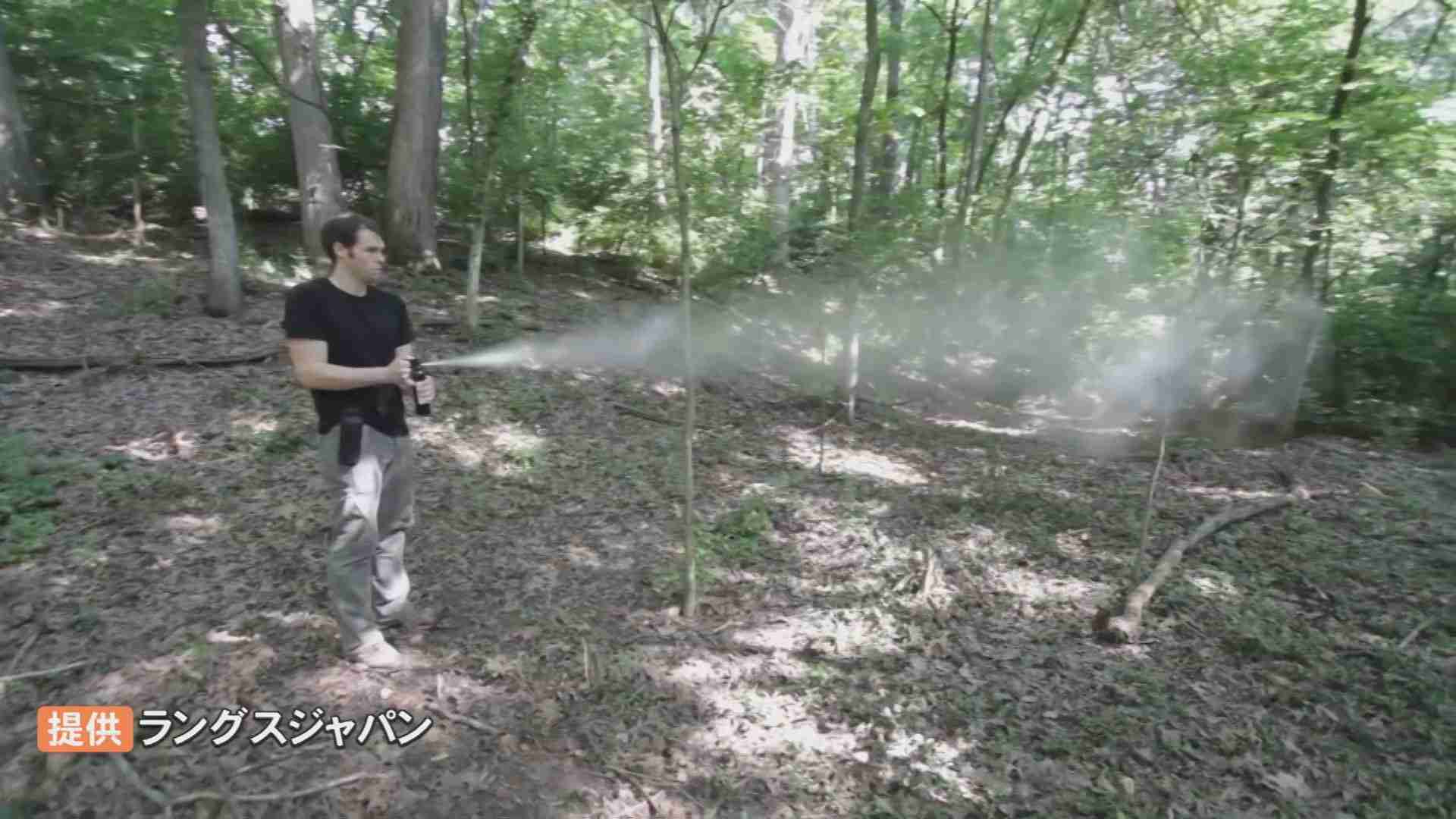 クマと突然遭遇、撃退に成功　「クマ撃退スプレー」に注目集まる　販売数急増で品薄状態に | TBS NEWS DIG