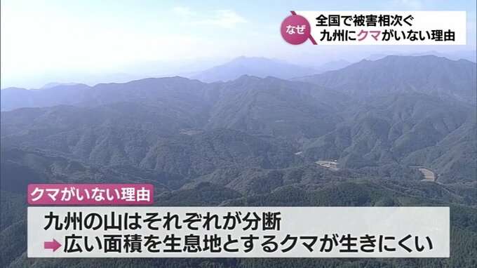 クマの九州上陸はあるのか　山口で生息域拡大　関門海峡泳げる?