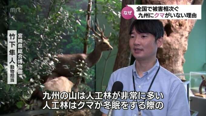 クマの九州上陸はあるのか　山口で生息域拡大　関門海峡泳げる?