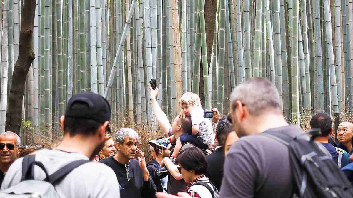 写真と全然違うじゃん…外国人観光客が漏らした「京都旅行」のホンネ - TRiP EDiTOR
