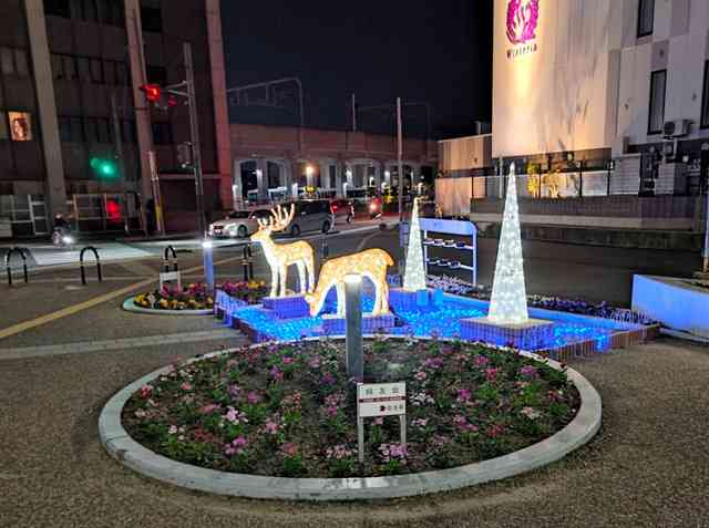 奈良市中心部の冬のイルミネーション、県民から「別のところにお金使って」の声…今年度中止に