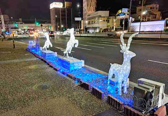 奈良市中心部の冬のイルミネーション、県民から「別のところにお金使って」の声…今年度中止に