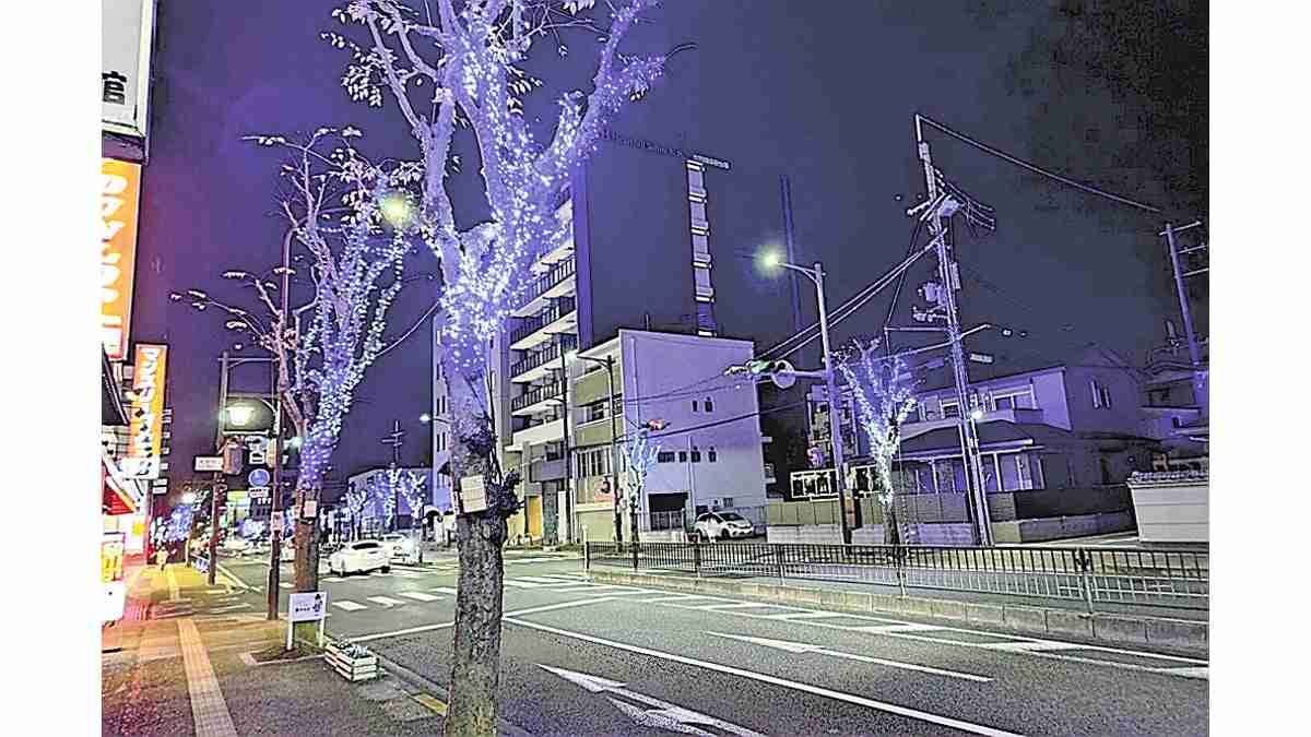 奈良市中心部の冬のイルミネーション、県民から「別のところにお金使って」の声…今年度中止に : 読売新聞