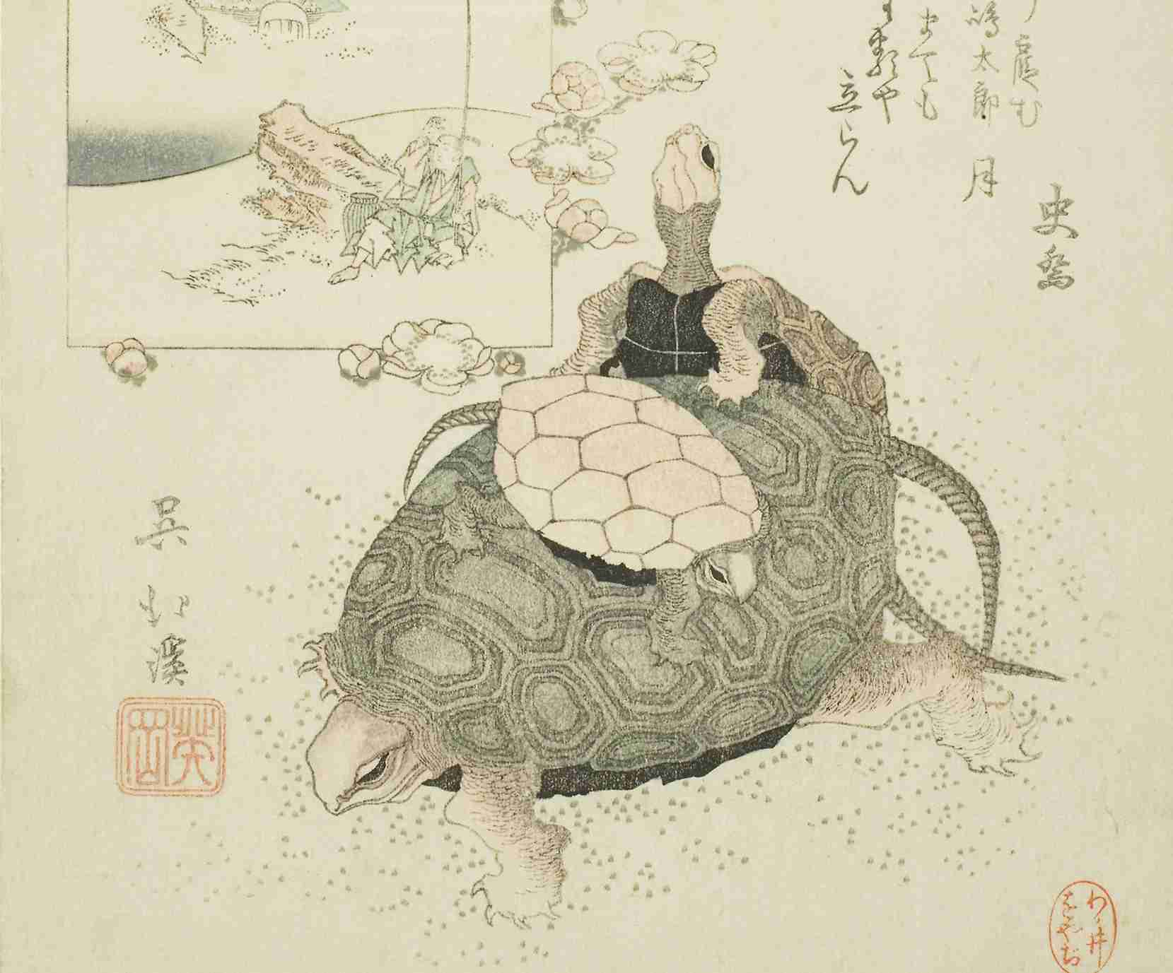 えっ！浦島太郎は中年男性だった？地域によって内容が違う「昔話」　｜　和樂web 美の国ニッポンをもっと知る！