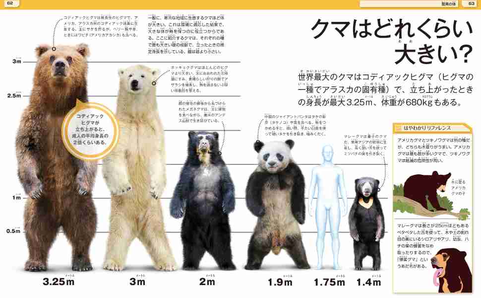 地上最大級の肉食動物ホッキョクグマと共存 カナダ チャーチル住民が絶対やらないこと