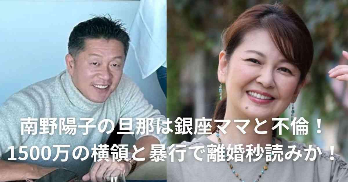 南野陽子の旦那は銀座ママと不倫！1500万の横領と暴行で離婚秒読みか！ | 芸能人の結婚、嫁、旦那、特集！