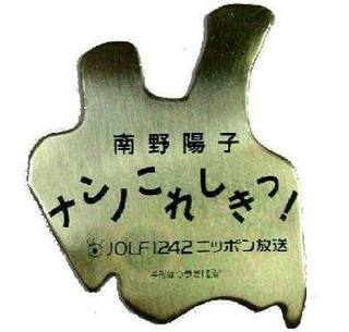 南野陽子さん 離婚を発表 「私事ですが、離婚いたしました」