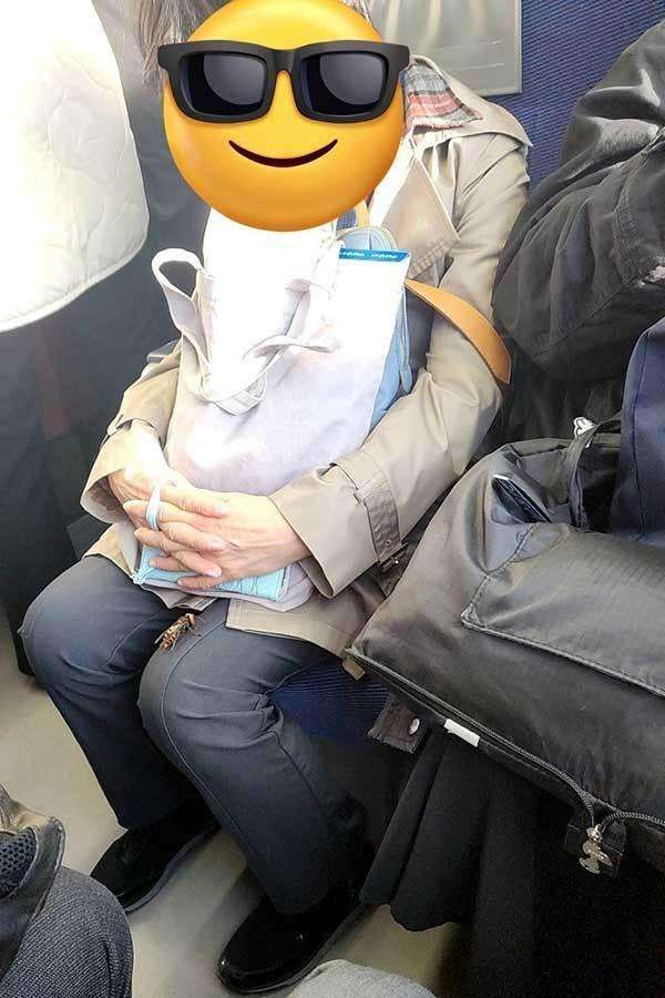 電車内での恐怖体験に悲鳴　女性の膝上にいたスズメバチに「頭に銃口向けられてるレベル」（Hint-Pot） - Yahoo!ニュース