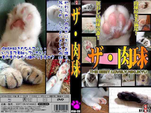 がるちゃん猫カフェ94号店開店しました♫(初めての方も大歓迎♫)