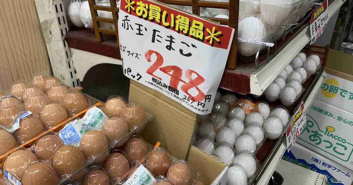 1キロ380円も?　エッグショック再燃か　今冬も鳥インフル相次ぐ | 毎日新聞