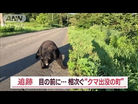 “クマ出没の町”相次ぐ　目の前に遭遇…「8頭同時侵入」も　カメラが捉えた一部始終【Jの追跡】(2023年11月4日) - YouTube