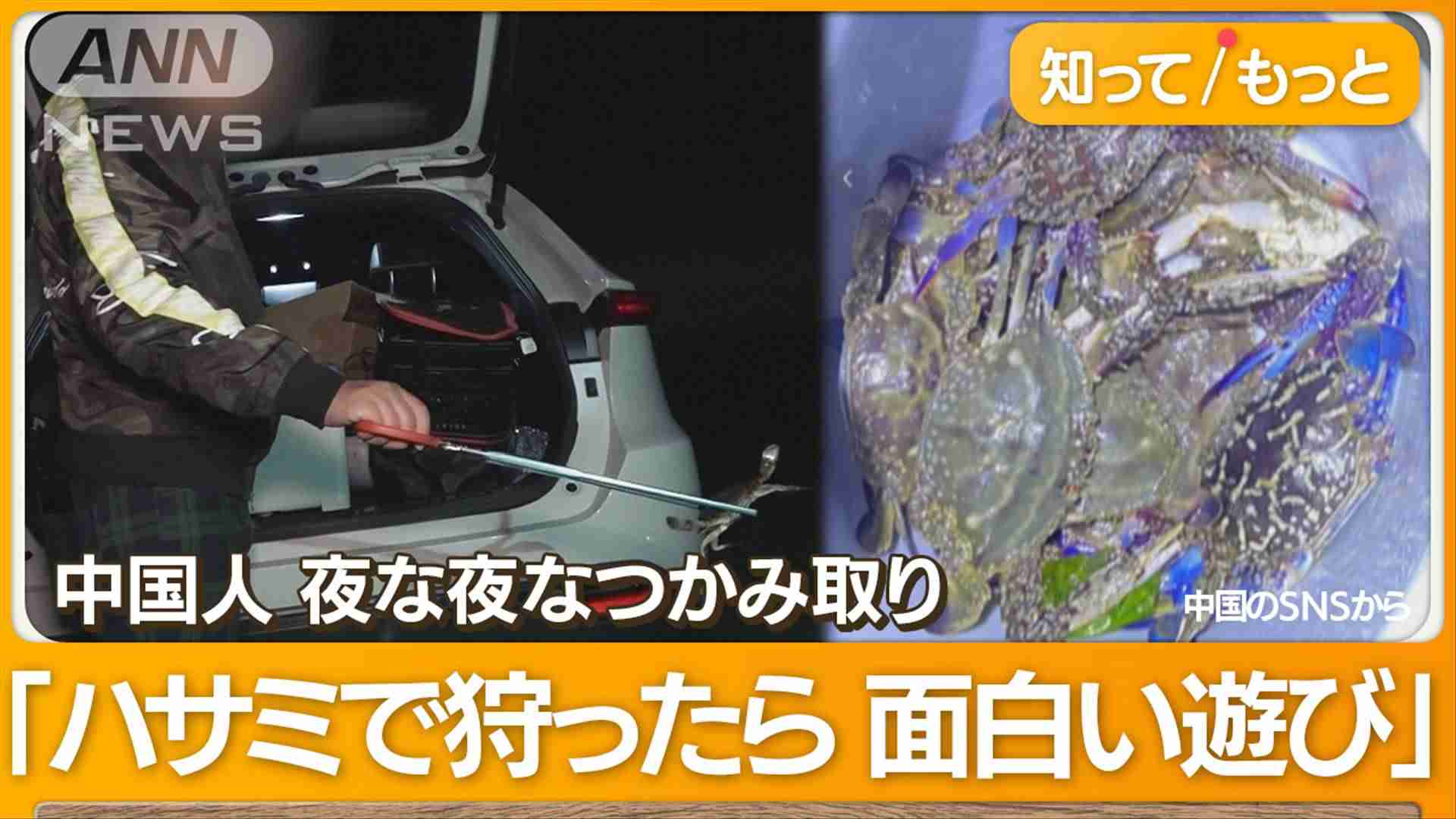 悪質…東京湾でワタリガニ“大量密漁”　中国人が次々「蒸し焼きにする」【詳細版】（テレビ朝日系（ANN）） - Yahoo!ニュース
