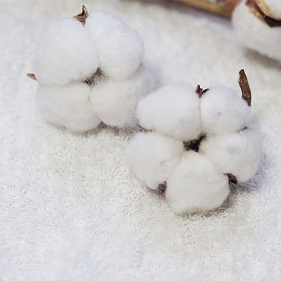 cotton on Twitter: 
