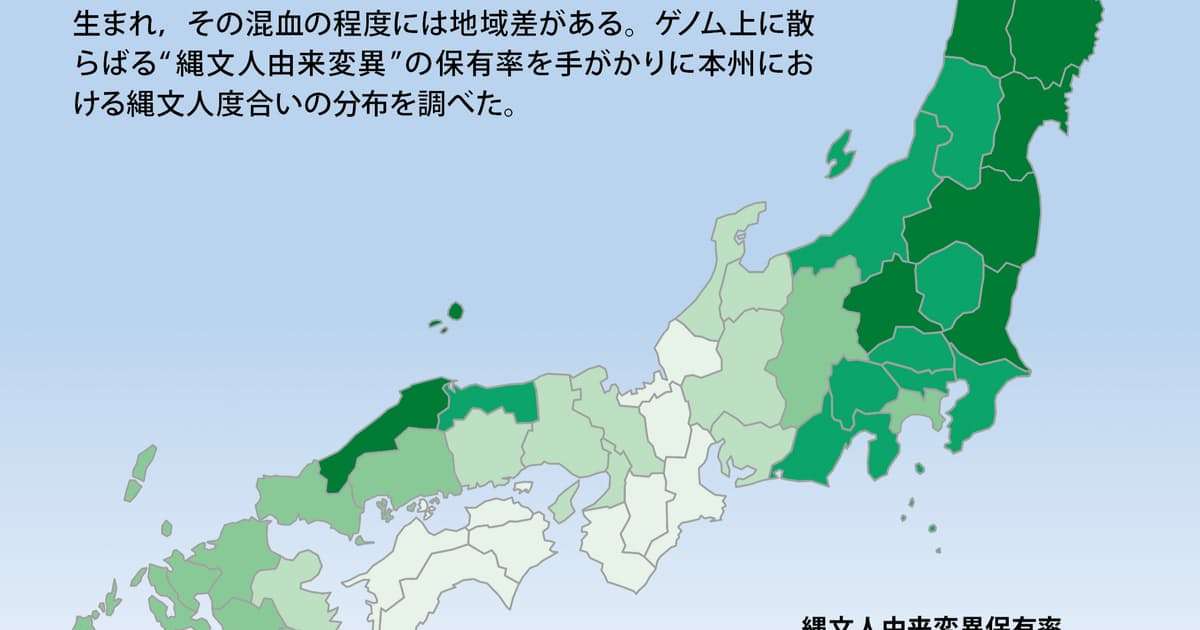 縄文人の痕跡を現代人に探る　ゲノム科学で迫る先史時代 - 日本経済新聞