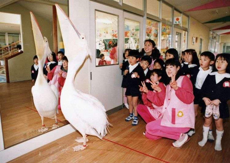 山口県について教えてください