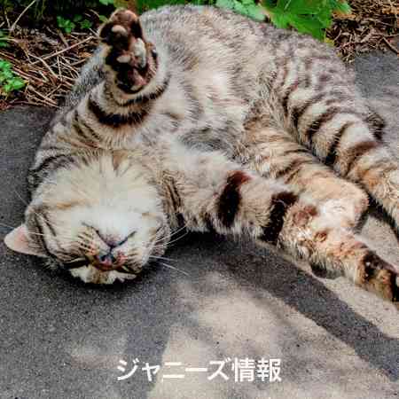 田中聖もかすむ？櫻井翔は金髪・へそピ・カラコンの“オラオラ系”だった！ – アサジョ