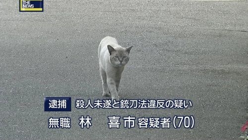 「道路は人間のもの」逮捕されたハト轢き男（50）を直撃！ なぜこれまで何匹ものハトが轢かれた“現場”で男だけが逮捕されたのか？ 近隣住民は「アパートにひとり暮らしで、トラブルもなく印象が薄い…」