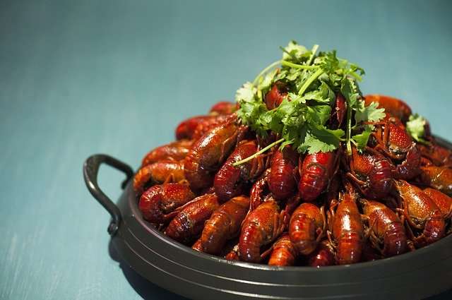 ザリガニを食べる国はどこ？地域や料理について紹介します