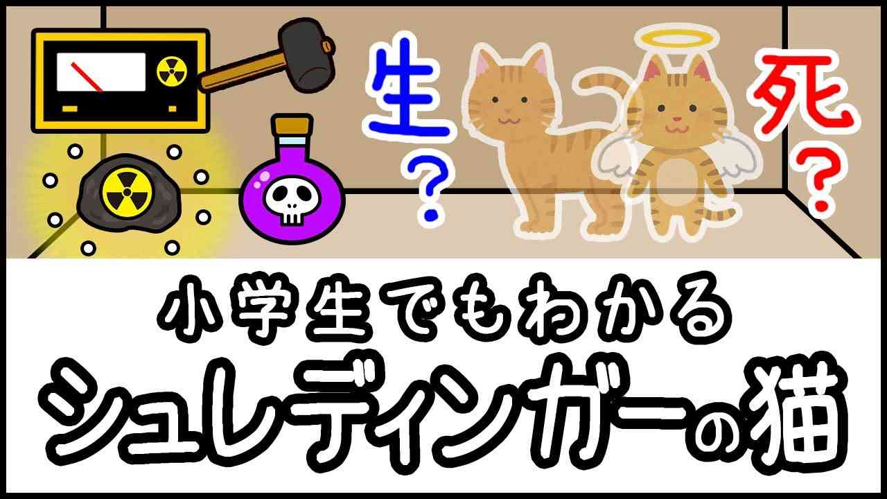 【生きてるし死んでいる？】小学生でもわかる・シュレディンガーの猫とは何か？【科学・ざっくり解説】 - YouTube
