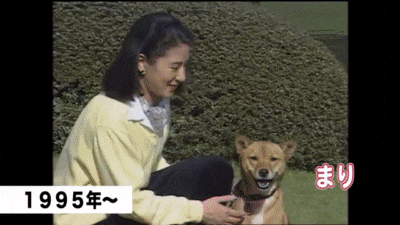 神社で神前式された人