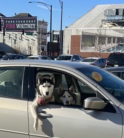 【画像】妻が『駐車場でクルマに乗ってるかっこいい人達に声掛けられちゃった❤️』と嬉しそうに見せてきた写真がこちら
