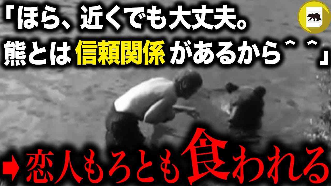 13年間ヒグマと触れ合い続けた男。管理局からの警告を無視し続け、愛する熊の近くでキャンプをした結果…「ティモシー・トレッドウェル熊事件」 - YouTube