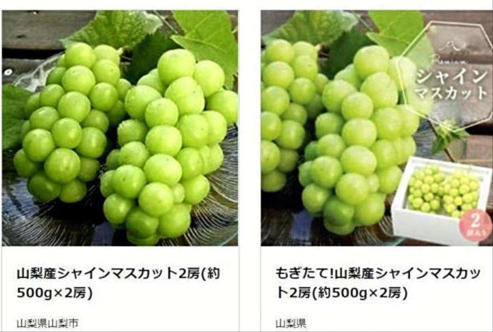 シャインマスカット発送できず、ふるさと納税返礼品2973件…担当者「山梨市の汚点になる」