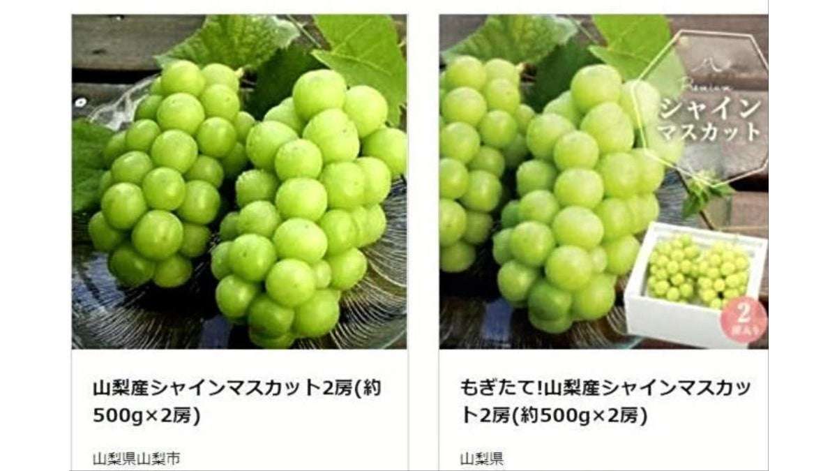 シャインマスカット発送できず、ふるさと納税返礼品２９７３件…担当者「山梨市の汚点になる」 : 読売新聞