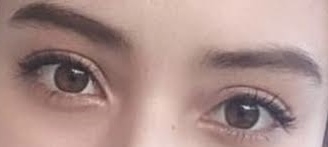 目だけで有名人を当ててください