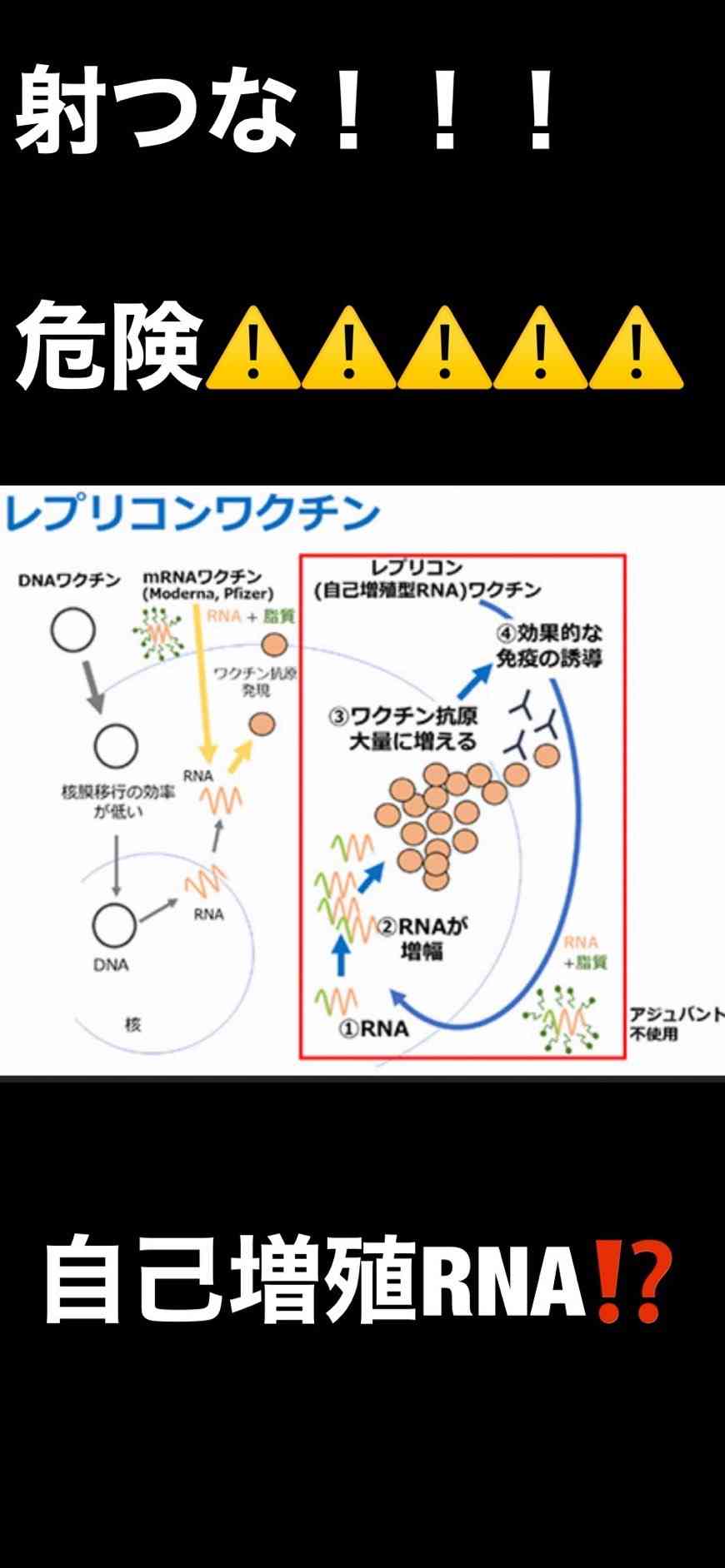 自己増殖型「レプリコンワクチン」打つな！生き残れ！日本人をモルモットに治験は既に始まった！日本は世界で唯一国民を犠牲にした新ワクチン実験場と化してしまった！！ | 禍福はあざなえる縄のごとし