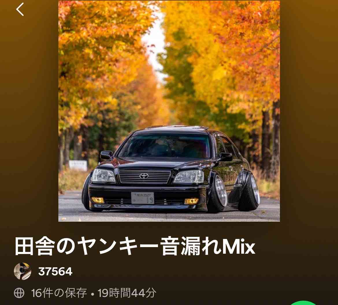 サブスクで音楽を漁ってたら『田舎のヤンキー音漏れMix』とかいう最高のプレイリストを見つけた「解釈一致すぎて爆笑」
