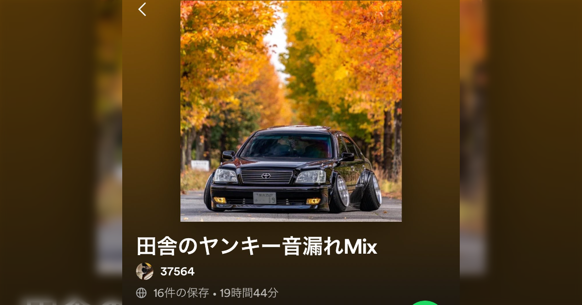 サブスクで音楽を漁ってたら『田舎のヤンキー音漏れMix』とかいう最高のプレイリストを見つけた「解釈一致すぎて爆笑」 - Togetter