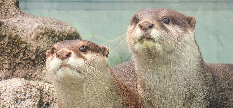 20代未婚男性の46％が交際経験なし、過去最高 女性も同様の傾向