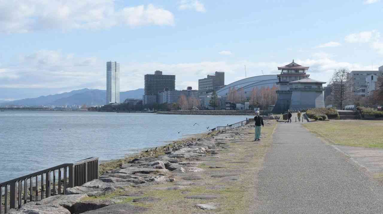 琵琶湖で水鳥が大量死 触らないで - Yahoo!ニュース
